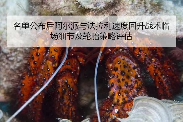 名单公布后阿尔派与法拉利速度回升战术临场细节及轮胎策略评估 | Kaiyun